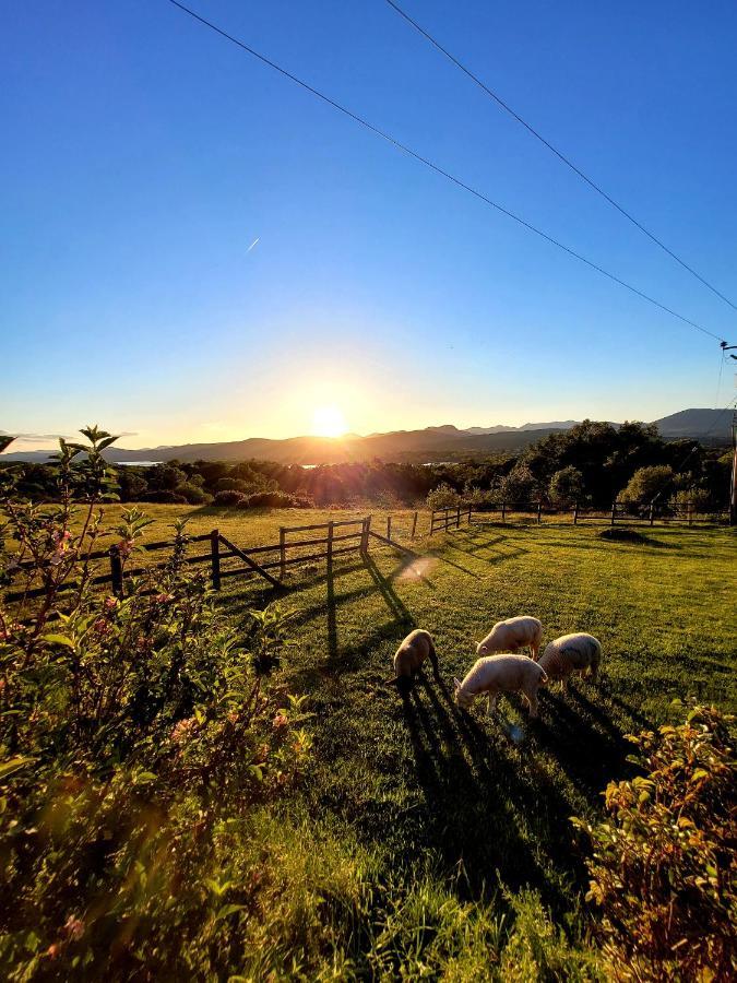 Oaklane Glamping Cabins Kenmare Zewnętrze zdjęcie