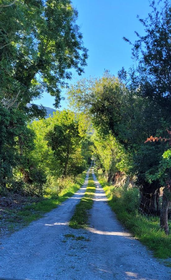 Oaklane Glamping Cabins Kenmare Zewnętrze zdjęcie